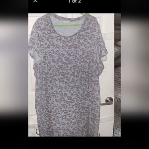 4X plus Terra and sky dress.